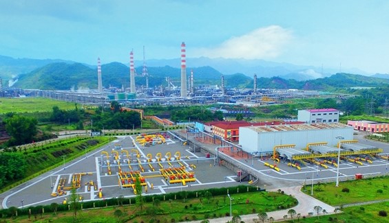 ���ҹܾW(w��ng)����|�ͣ����L����ʮ���d �������������